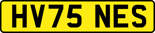 HV75NES