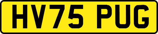 HV75PUG