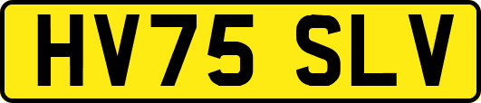 HV75SLV