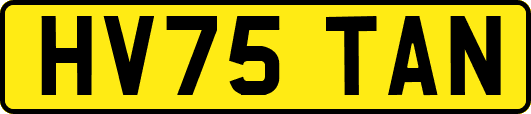 HV75TAN