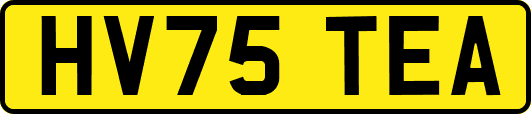 HV75TEA