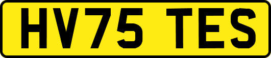 HV75TES