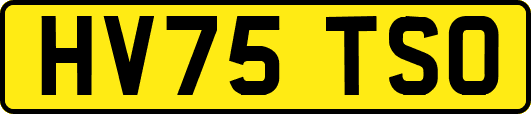 HV75TSO