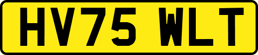 HV75WLT
