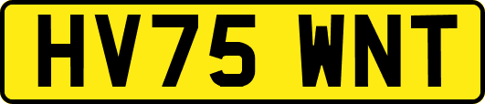 HV75WNT