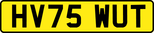 HV75WUT