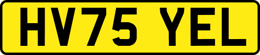HV75YEL
