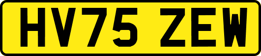 HV75ZEW