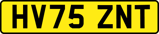 HV75ZNT