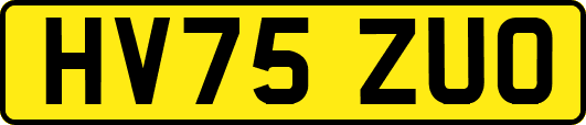 HV75ZUO