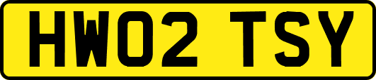 HW02TSY
