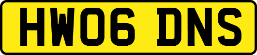 HW06DNS