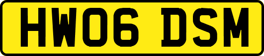HW06DSM