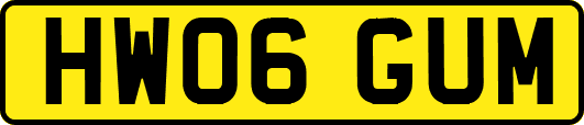 HW06GUM