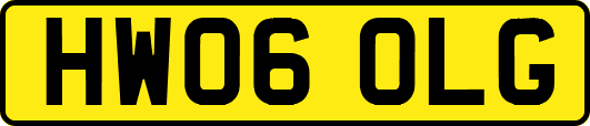HW06OLG