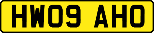 HW09AHO