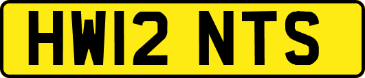 HW12NTS