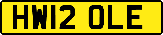 HW12OLE