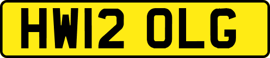HW12OLG