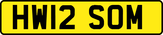HW12SOM