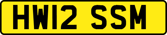 HW12SSM