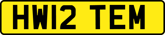 HW12TEM