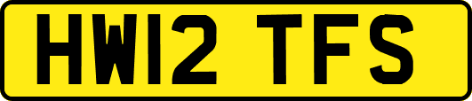HW12TFS