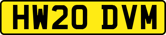 HW20DVM