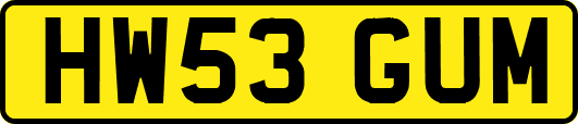 HW53GUM