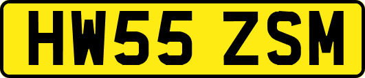 HW55ZSM