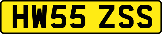 HW55ZSS
