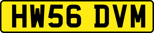 HW56DVM