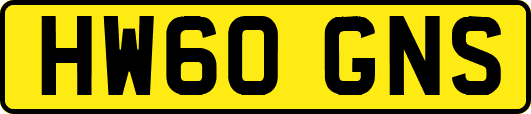 HW60GNS