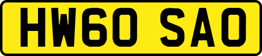 HW60SAO