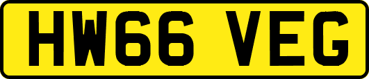HW66VEG