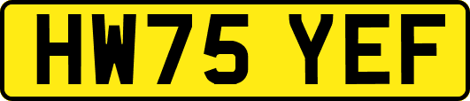 HW75YEF