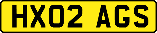 HX02AGS