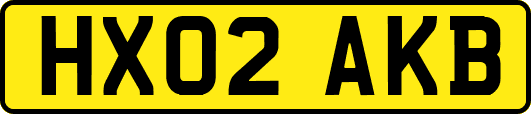 HX02AKB