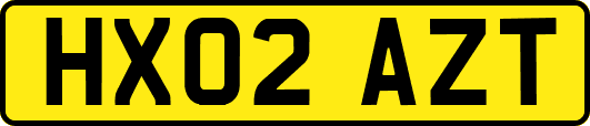 HX02AZT