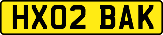 HX02BAK