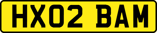 HX02BAM