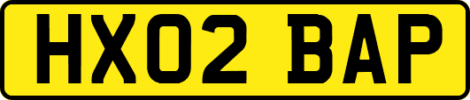 HX02BAP