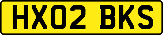 HX02BKS