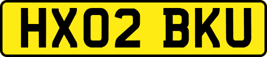 HX02BKU