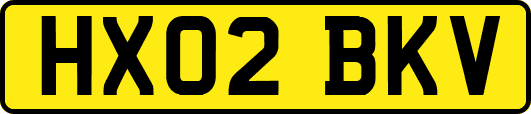 HX02BKV