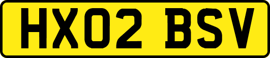 HX02BSV