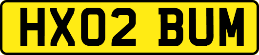 HX02BUM