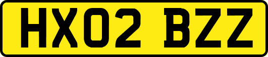 HX02BZZ