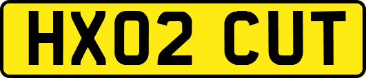 HX02CUT
