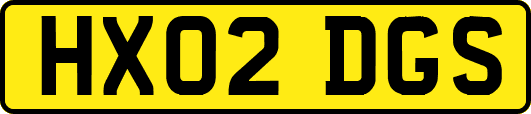 HX02DGS